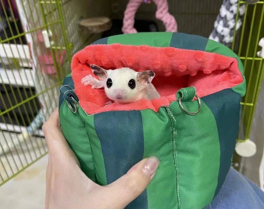 90后卖拉链：一条赚0.001元，冲到类目第一