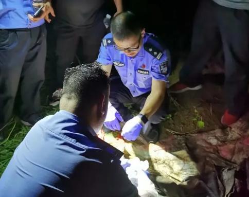 黑龙江省历年特大杀人案纪实,黑龙江93年特大持枪杀人案