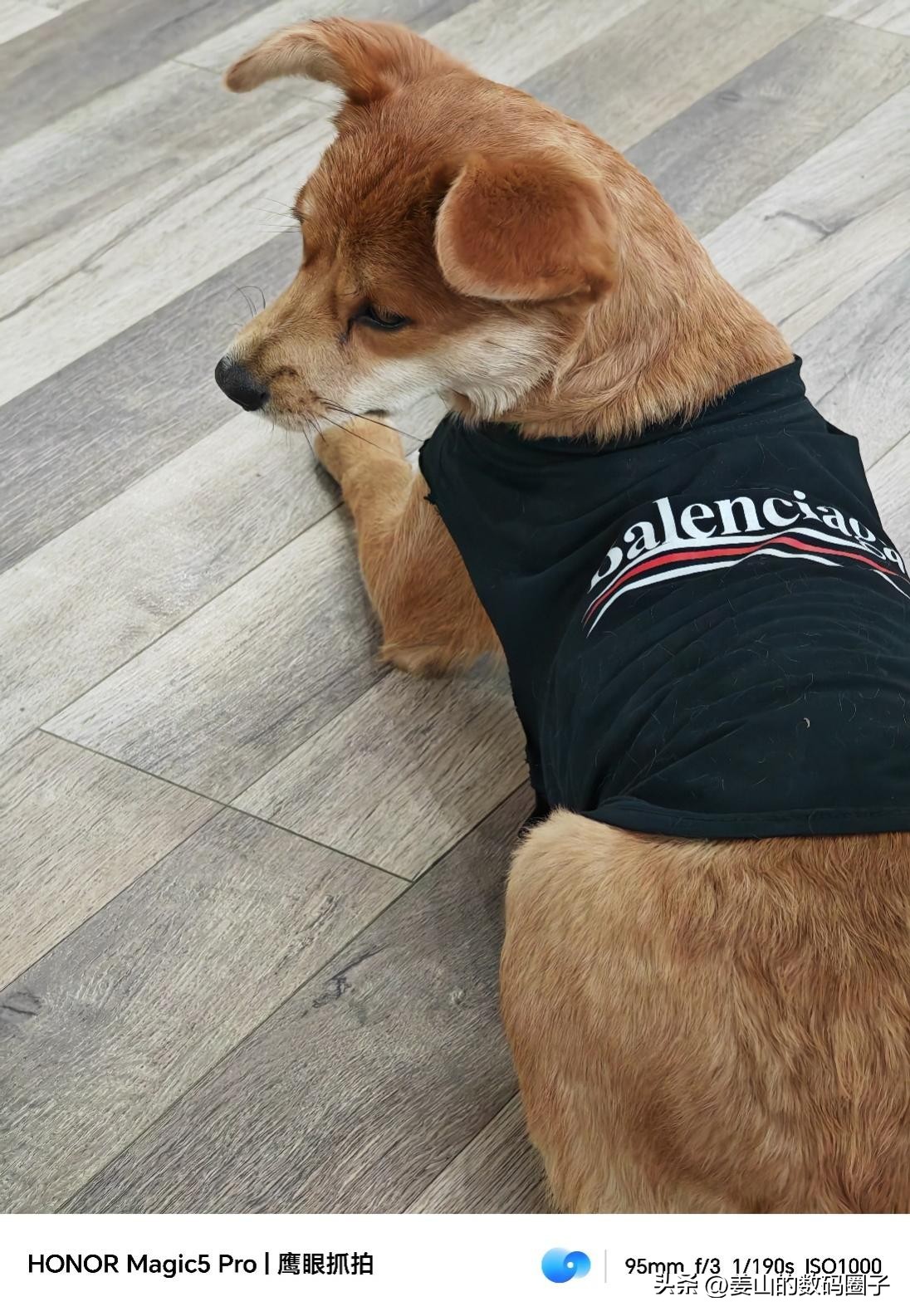 荣耀magic5pro对比苹果14promax,荣耀magic6pro和苹果14promax