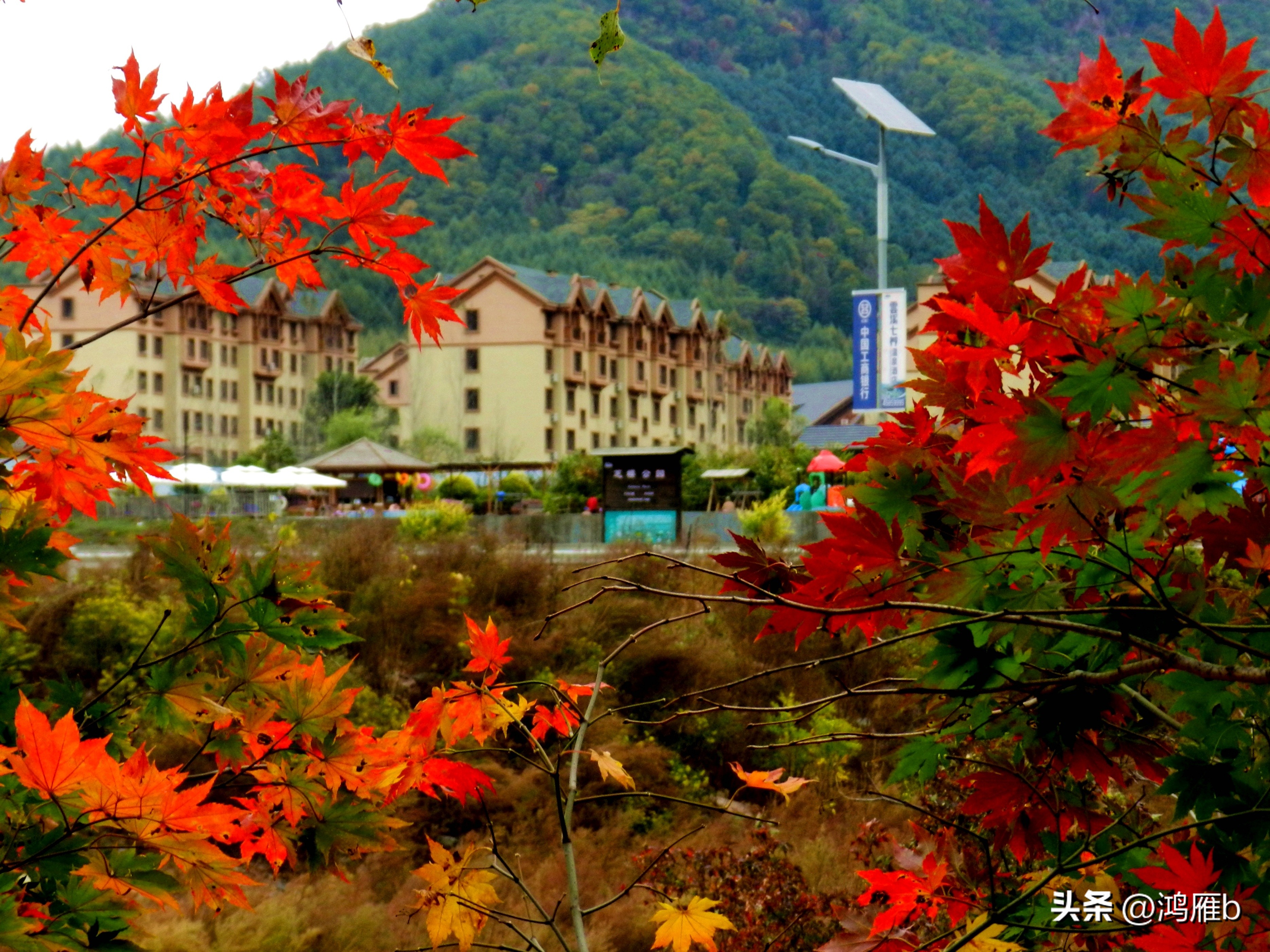 本溪温泉汤沟门票价格,本溪花溪沐枫雪温泉小镇