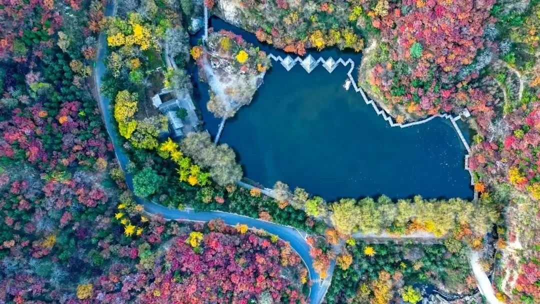 济南元素再一次火爆“出圈”！省长推介的诗意济南是什么样子的？