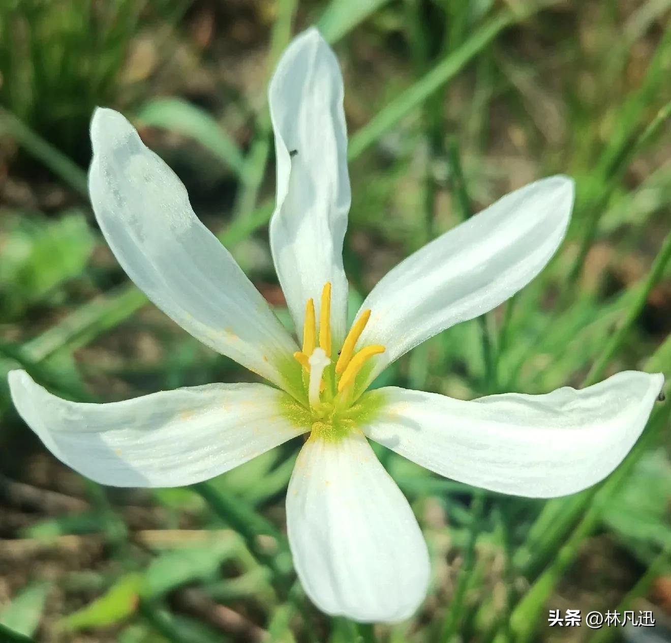 低调赚钱慢慢变富,慢慢变富和快速赚钱