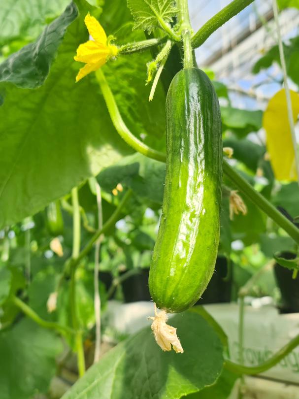 徒步露营带什么好吃的美食,旅行美食露营总有一款能治愈