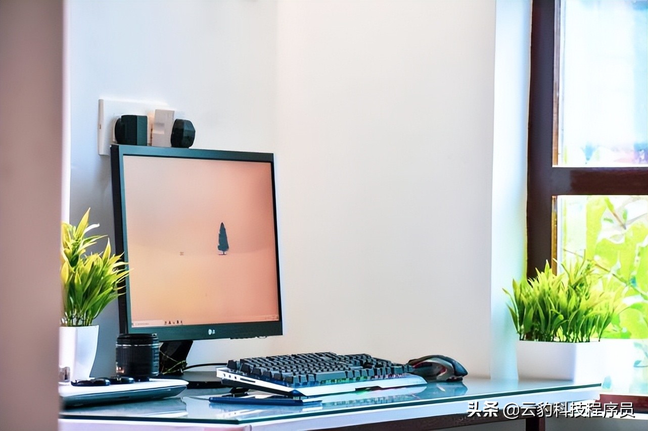 高端婚恋交友平台源码,征婚交友网站开发