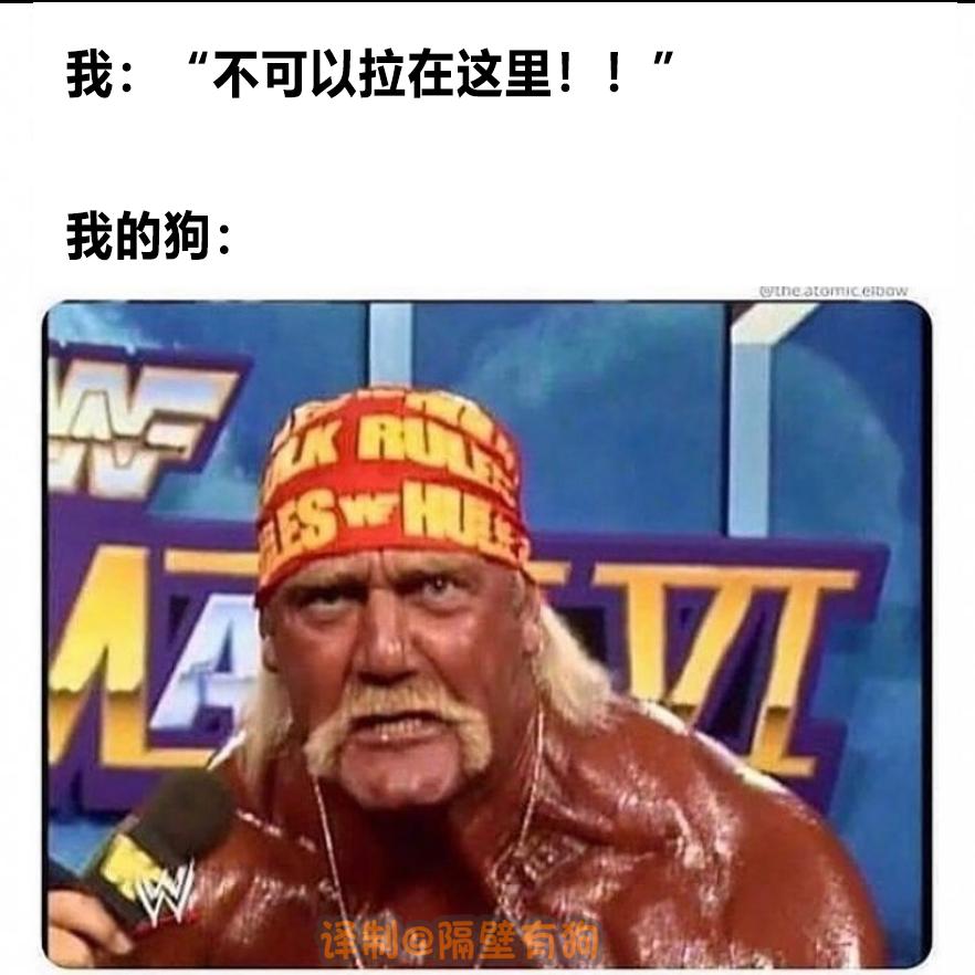 看完恐怖片不敢去最后一间厕所,看完恐怖片转移阵地