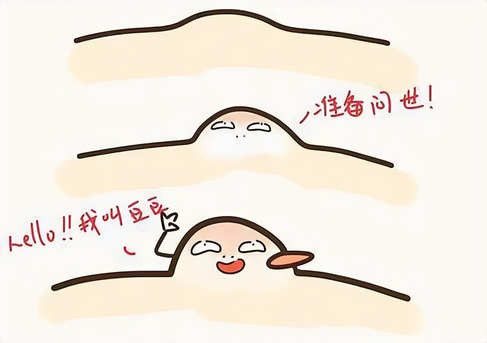 10款奶酪棒测试结果如何,评测奶酪推荐前十