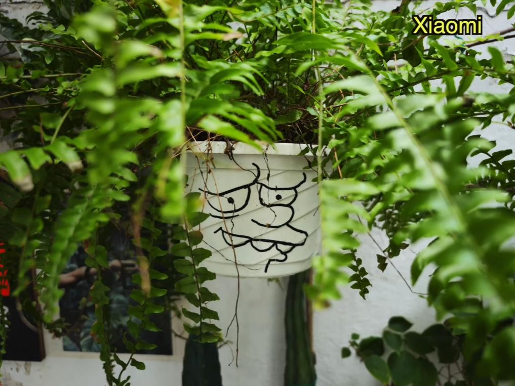 小米12sultra与vivox80pro拍照选哪款,小米12sultra和vivox80pro拍照选哪个