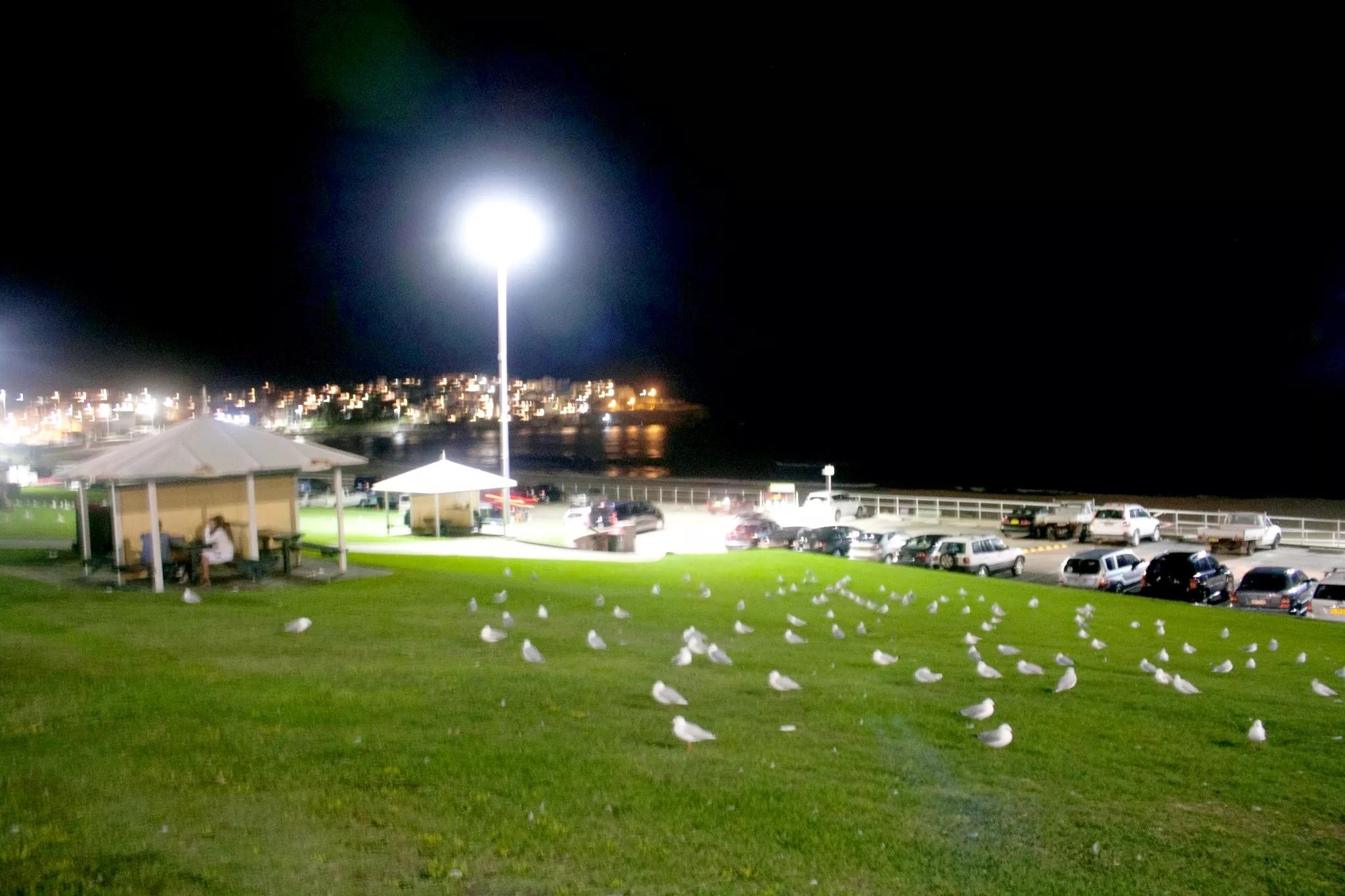 病毒肆虐全球,病毒肆虐全球高清