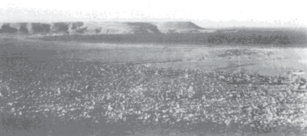 两位元帅的对决：决定二战北非战局的第一次阿拉曼战役