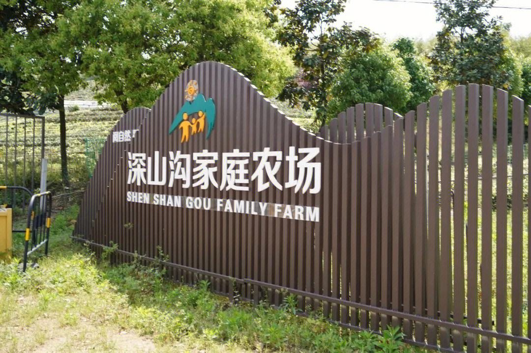 返乡创业都有哪些项目,年轻人返乡创业项目有哪些