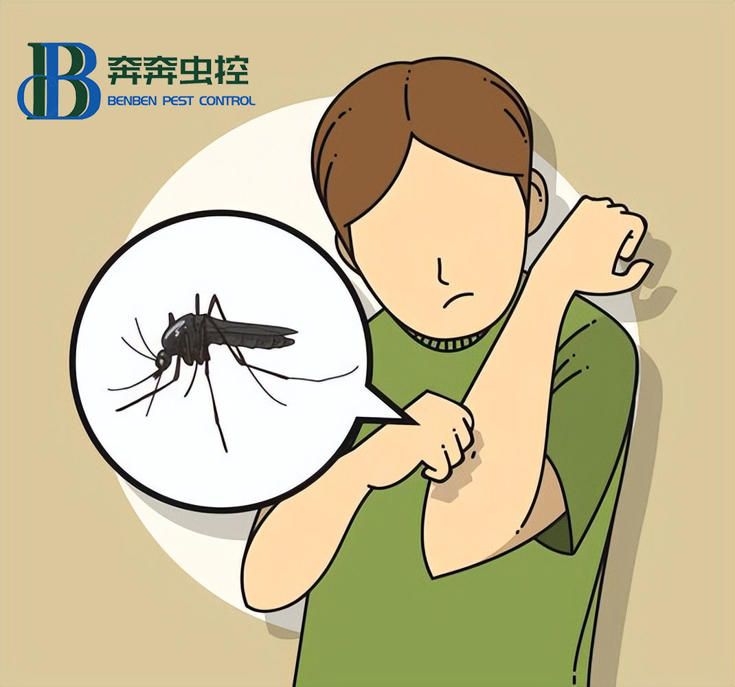 家里消灭蚊虫小妙招,如何减少家里的蚊虫