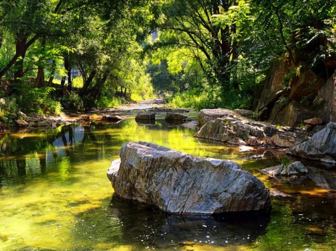 无锡西太湖旅游景点有海鸥吗,无锡富颐国际大酒店周边旅游景点
