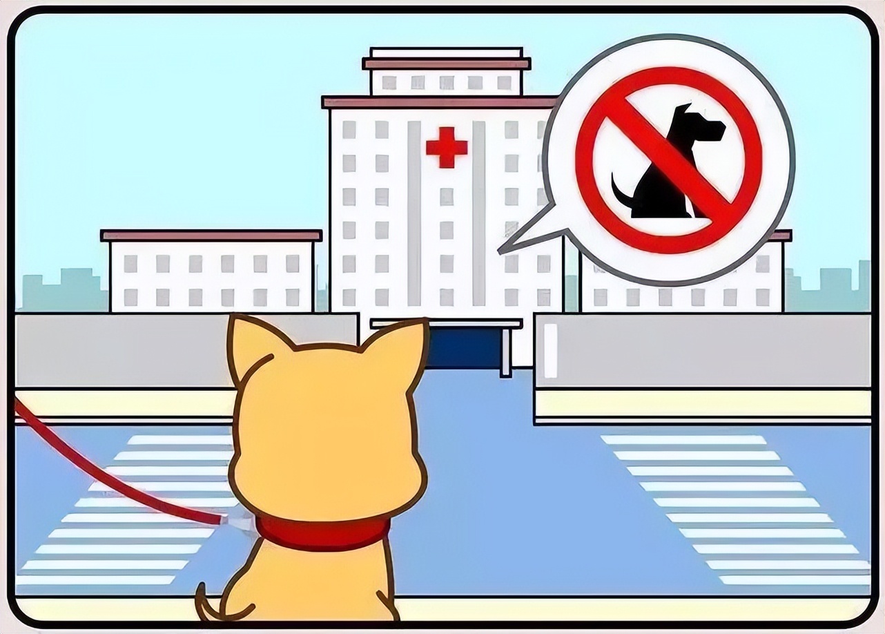 致市民朋友的一封信,致广大居民文明养犬的一封信