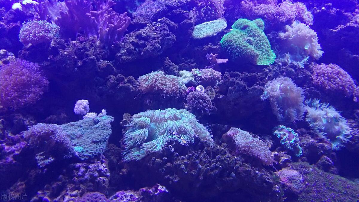 青岛周边十大景点排行榜,冬天青岛必去十大景点