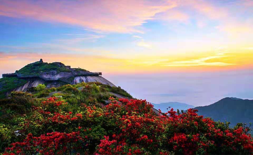 高高的紫云山,我们的青春故事曾在这里演绎