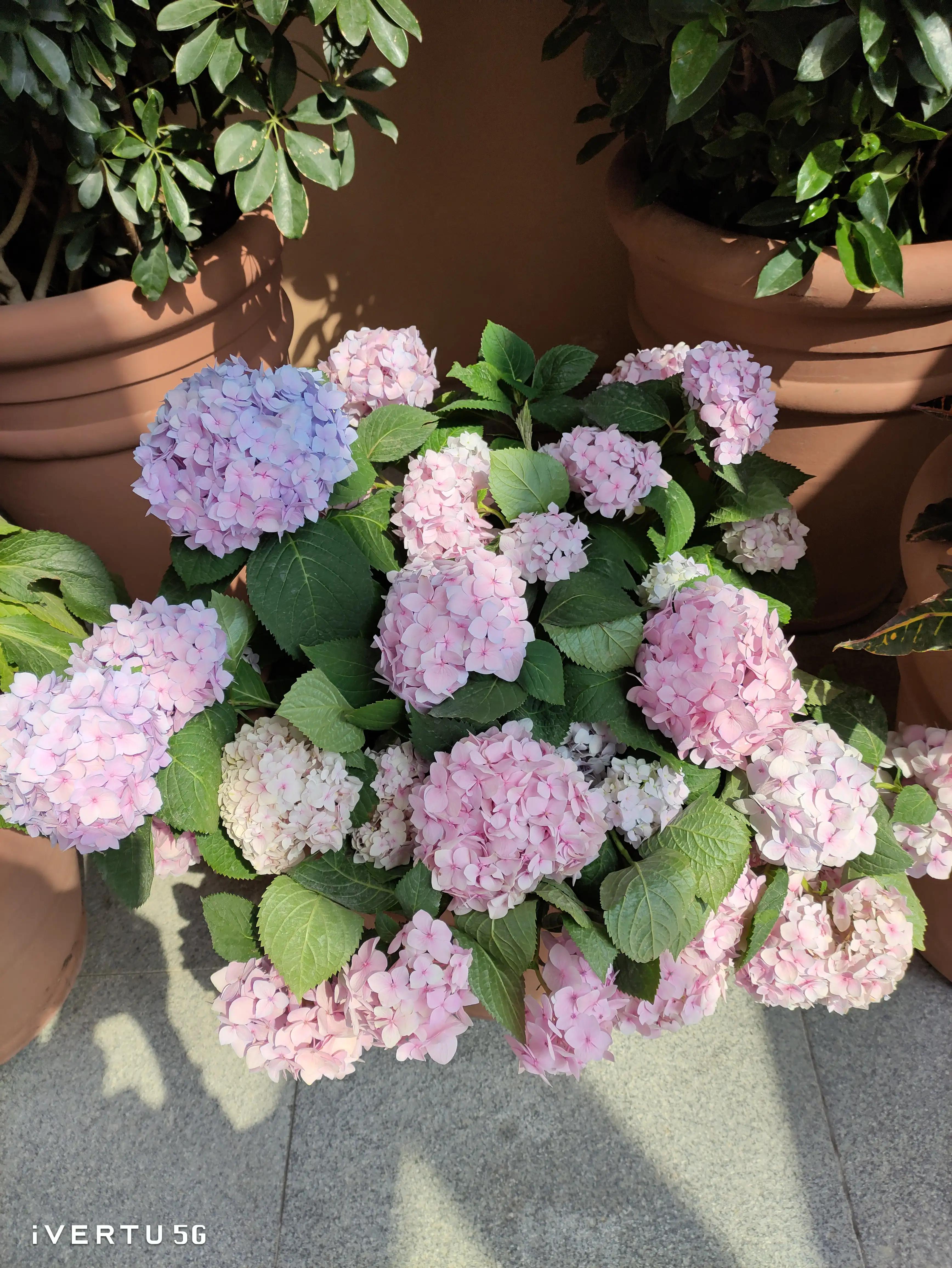 八达岭奥莱开门时间,八达岭奥莱有洪卡吗