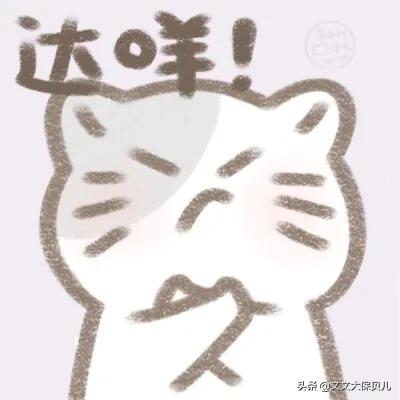 加量不加价持久留香,大黄蜂6号怎么选