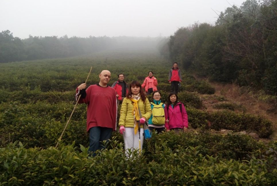 爱旅经常组织的市内登山路线，传说健康的人都去了这里......