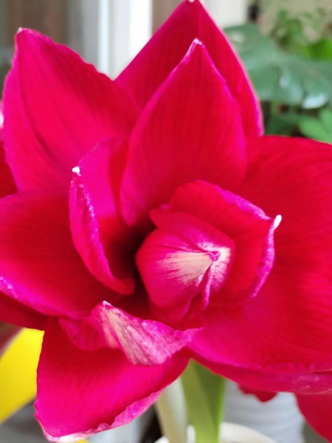 网购有趣,网购的妙趣