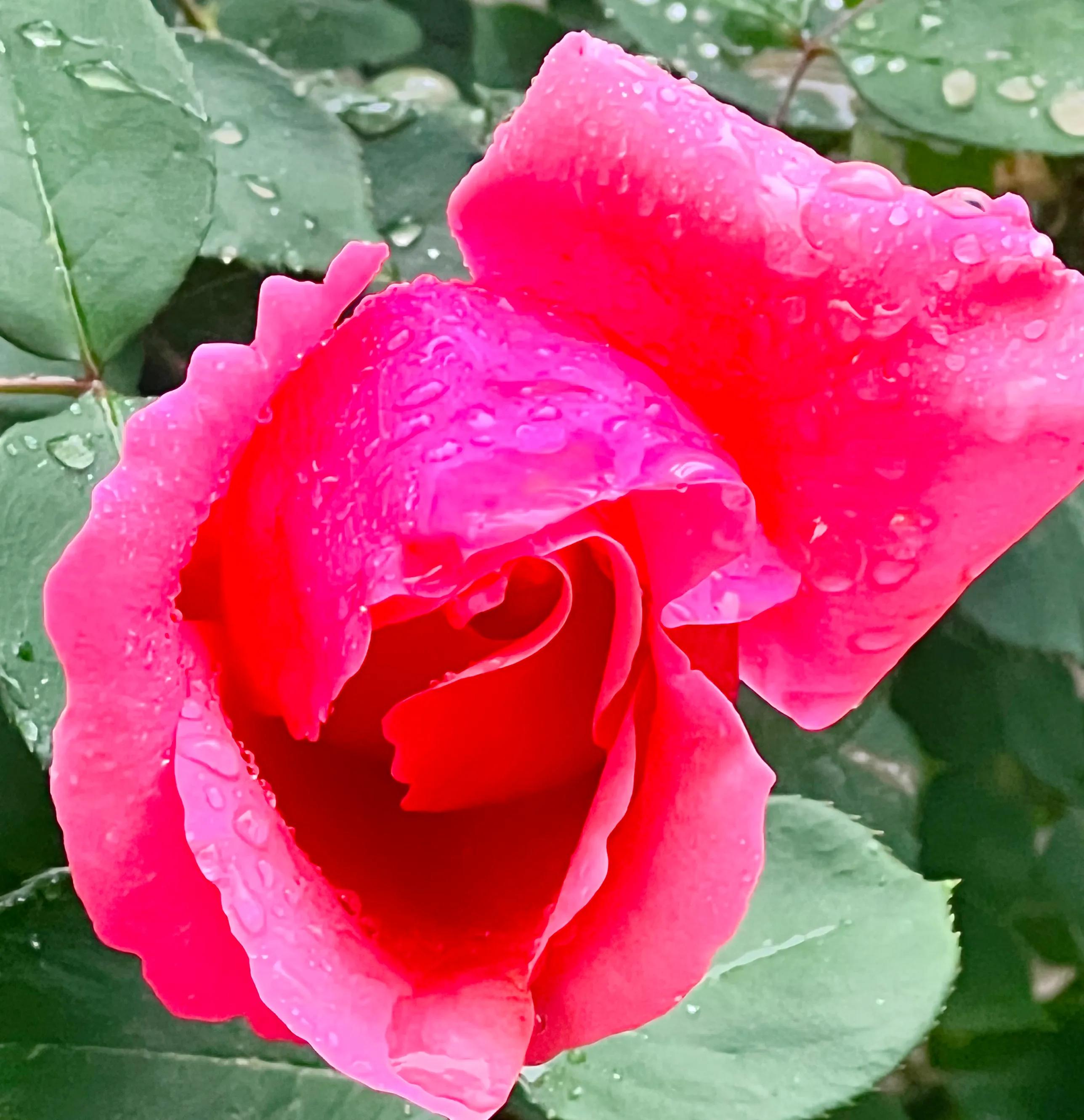 慧眼识得真金,人身上隐藏着神秘的“宝藏”,只是没有人去识别