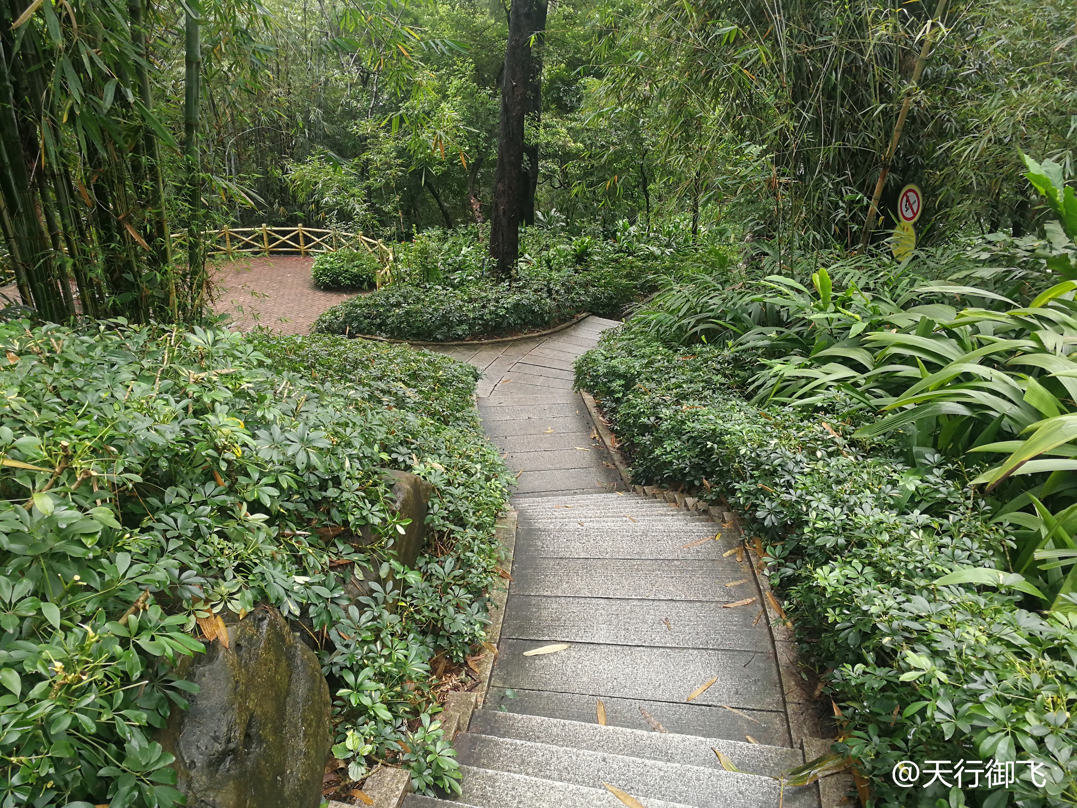 越秀公园游览最佳顺序,广州越秀公园旅游线路图