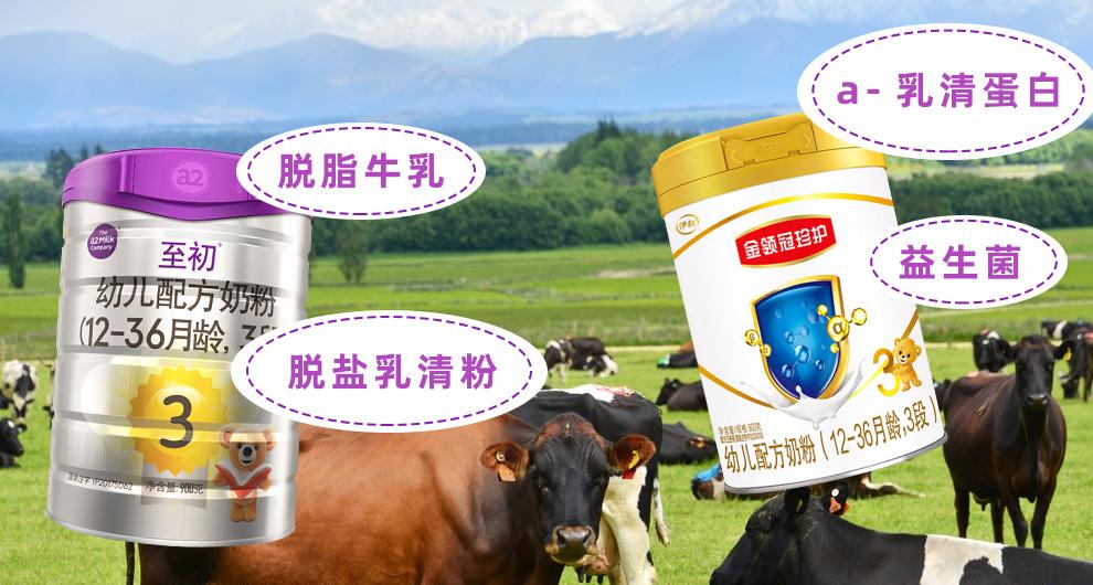 a2至初和金领冠珍护4段哪个好,a2至初和金领冠珍护铂萃三段对比