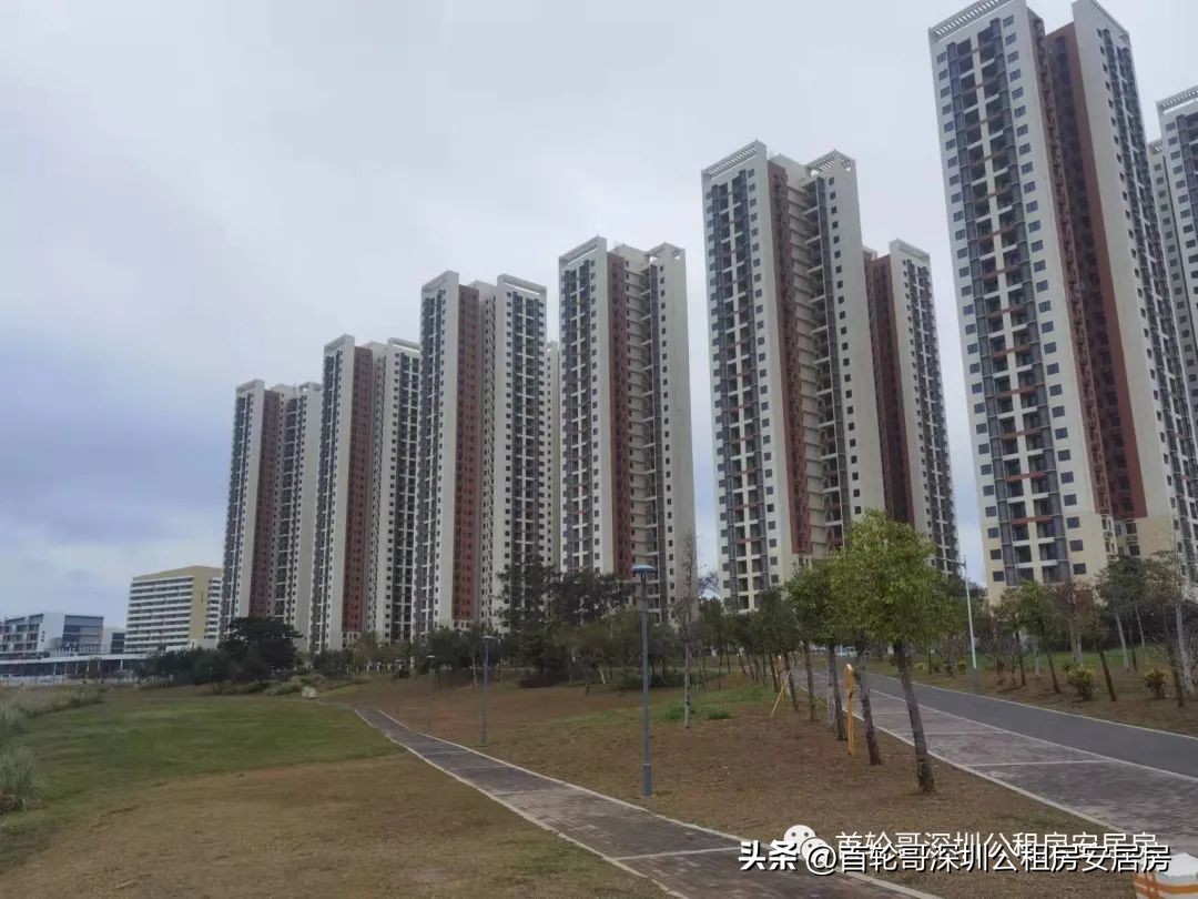 1.9万户认租，坪河雅苑等762套市级公租房认租名单公布