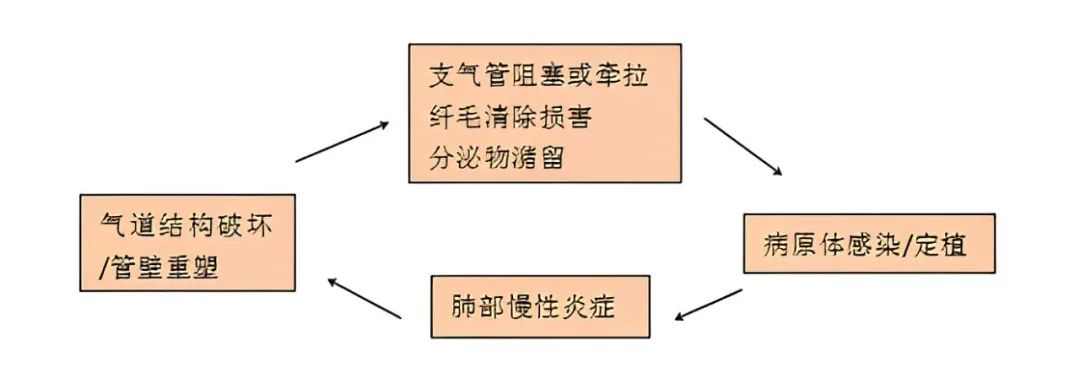 支扩怎样根治,得了支扩是不是活不长了