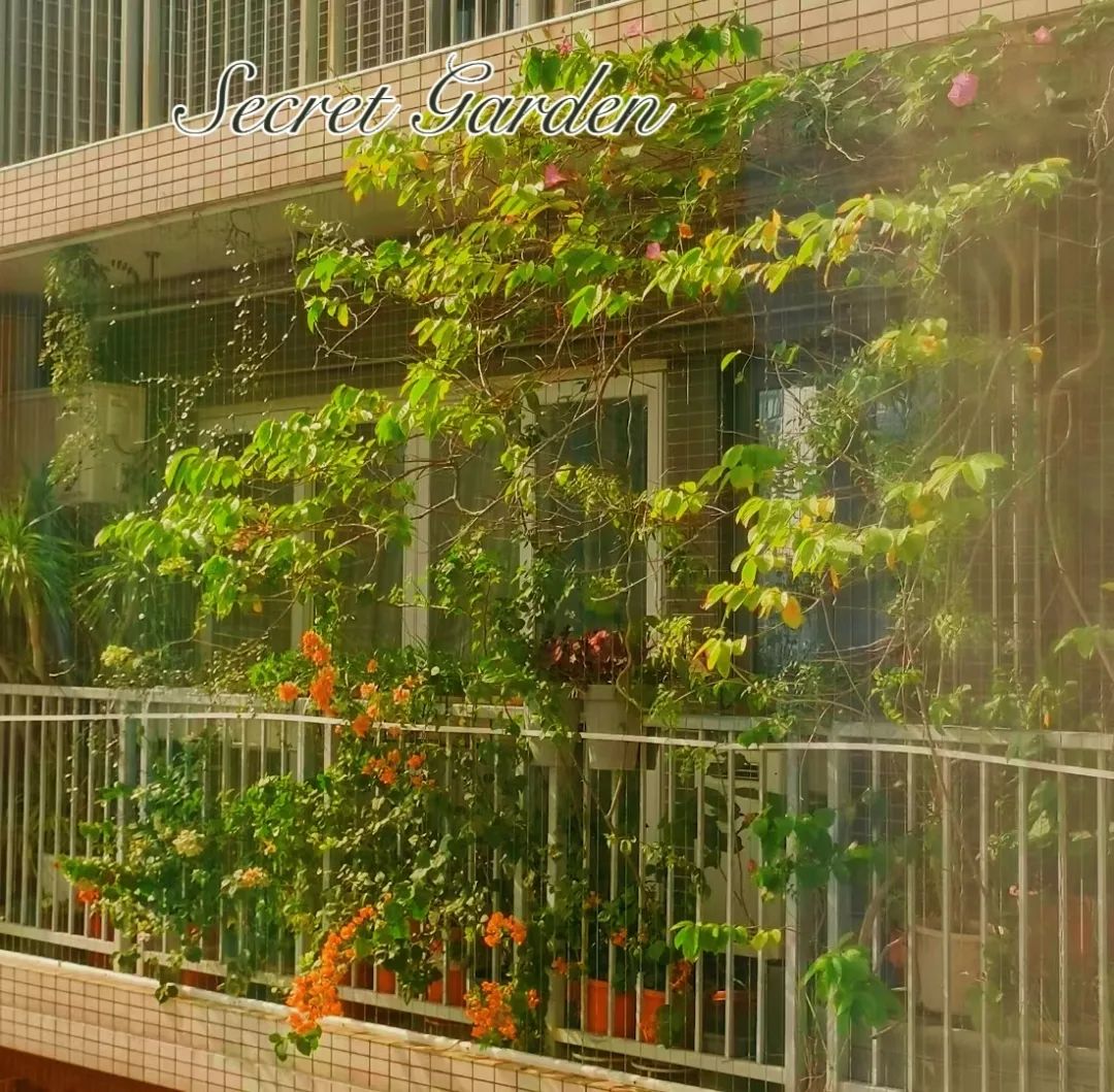 很多人羡慕的阳台,让别人羡慕的阳台