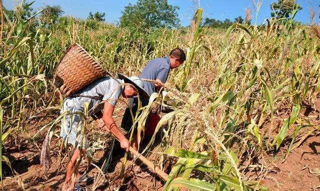 公公霸占儿媳6年，当着儿子的面行苟且之事，儿媳做法令人不解