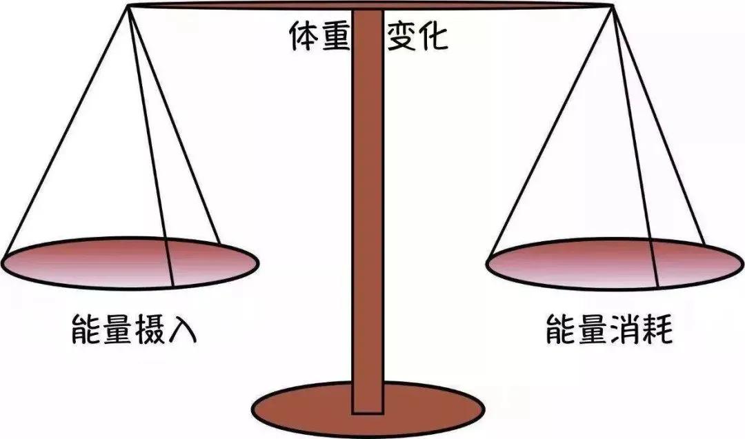 仰卧起坐每天坚持练能练出腹肌吗,每天做100个仰卧起坐多久练出腹肌