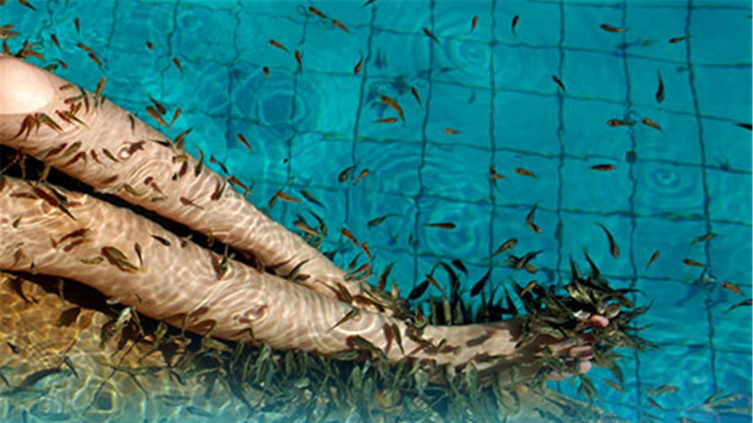 女子做完鱼疗却赔偿店家4万元,医生:为了健康,少做鱼疗