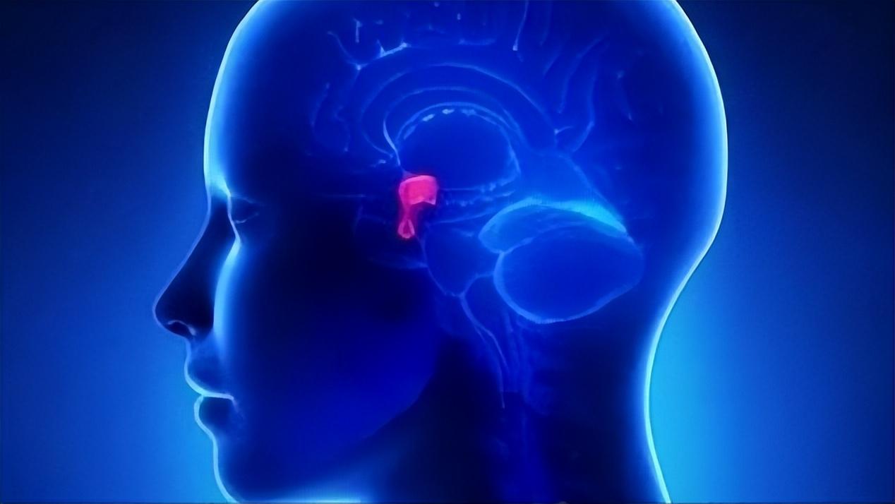 阴毛多或者少，代表了什么？医生直言：这几大作用，别视而不见