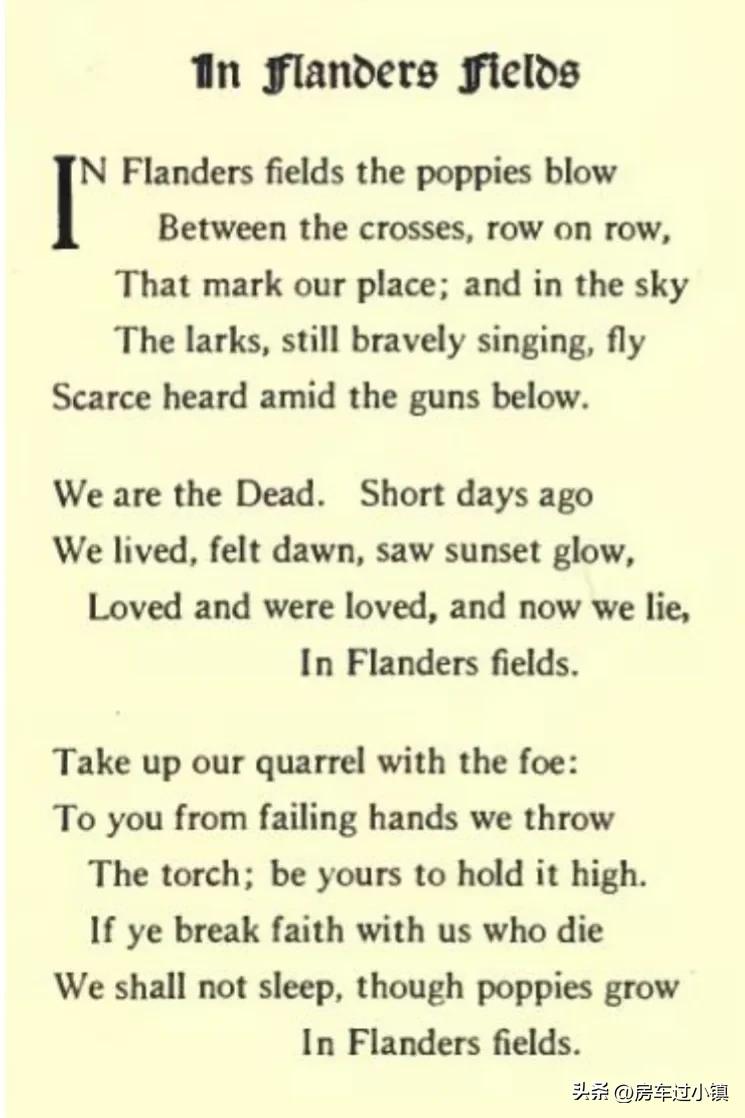 虞美人盛开AnzacDay——新手新车新西兰之八