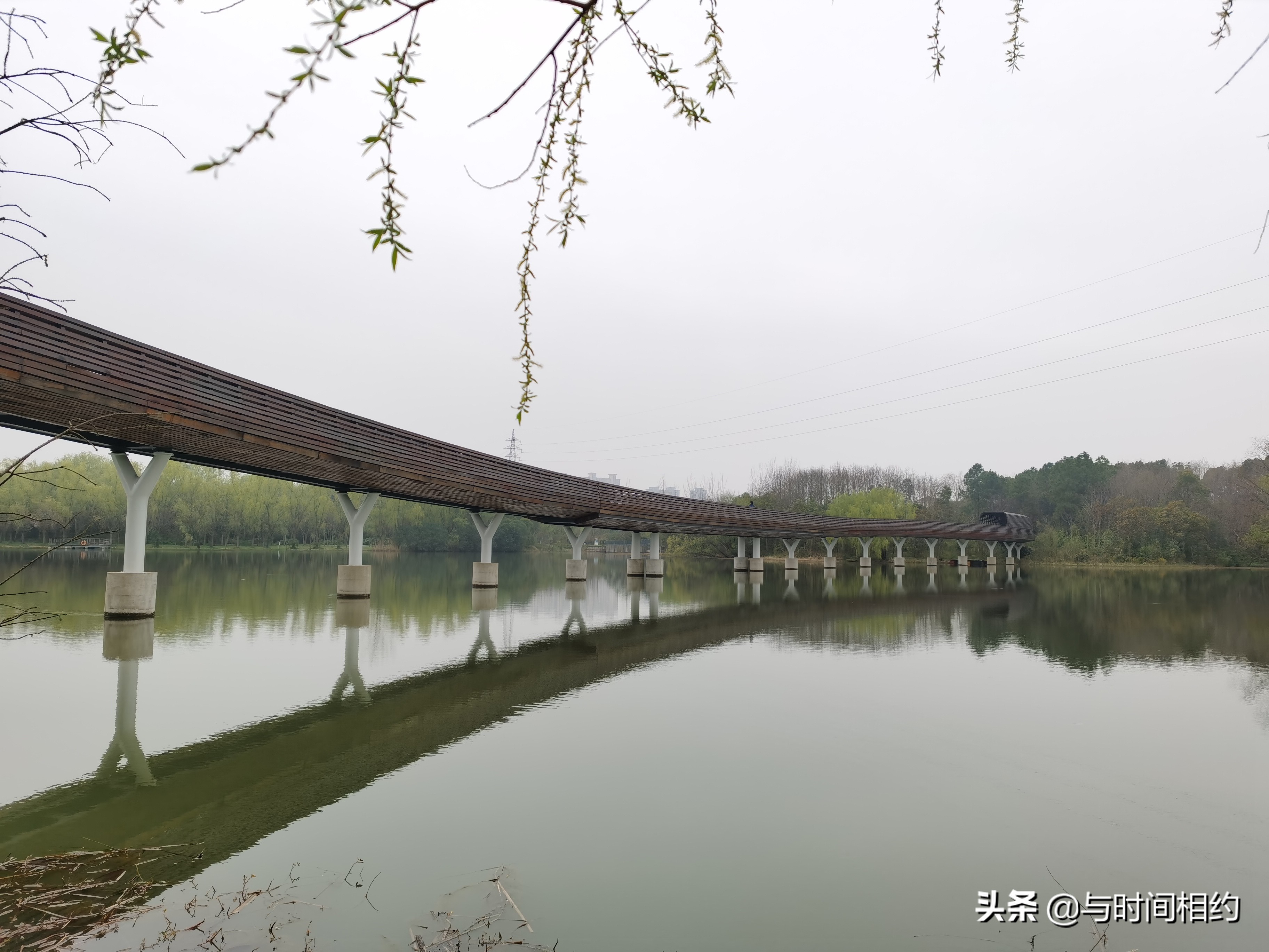 昆山森林公园跑步攻略,昆山哪里适合晨跑