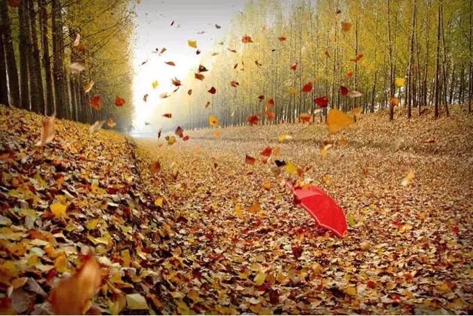 当你心里烦躁时该如何解决,当感到心烦意乱的时候