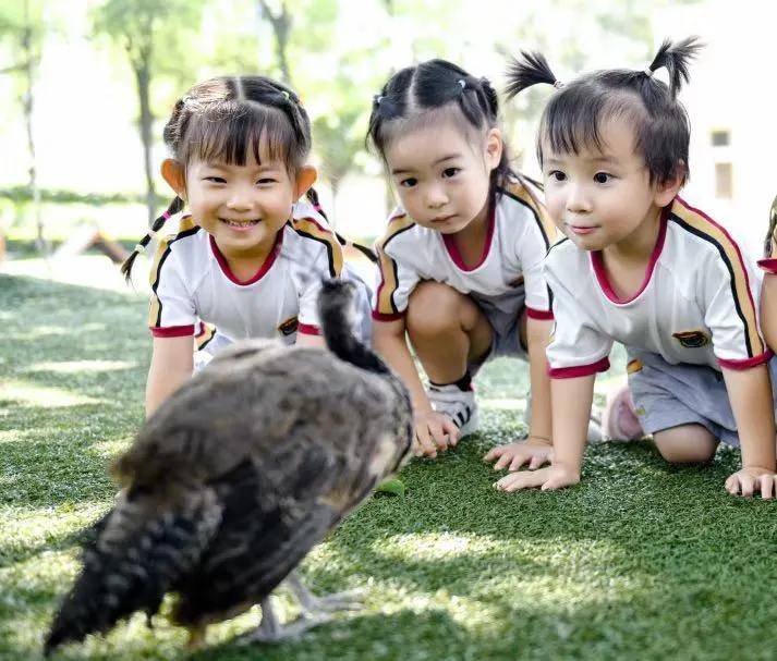 教育温暖的瞬间,一分钟看懂成都教育