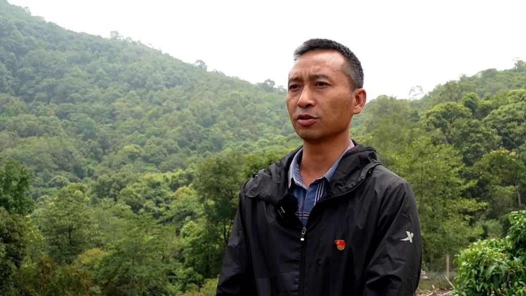 绿春乡村振兴,绿春乡村振兴工作