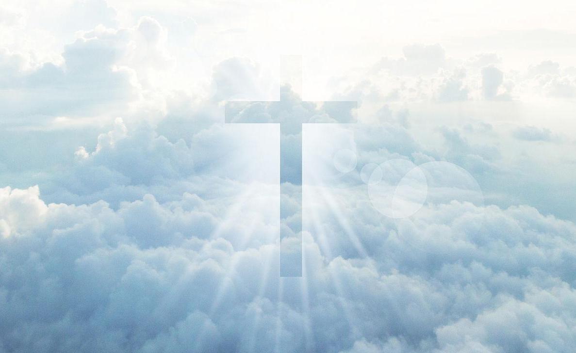 世界杯奥密克戎,奥密克戎杯8强