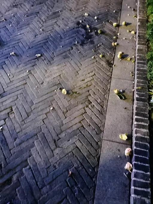 暴殄“果”物，家教有“疾”