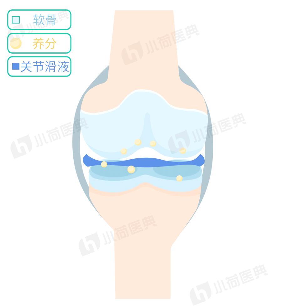 久坐伤膝盖是什么原因,跑步和久坐哪个更伤膝盖