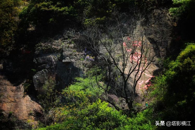 2021我的难忘记忆,我的2020高考独家记忆