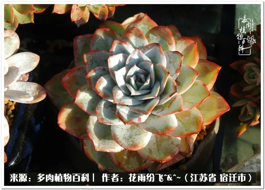 快乐的童年时光视频,回味快乐的童年美好的时光