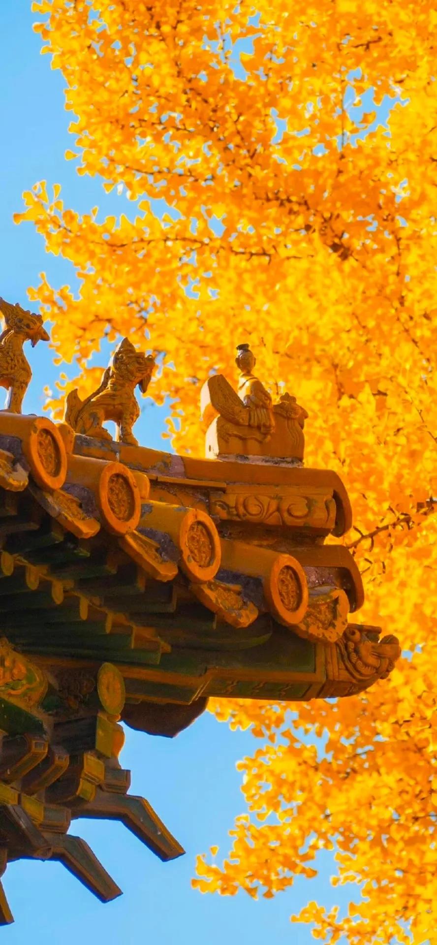 湛蓝的海水海滩风景高清壁纸,高清壁纸8k全屏无水印风景