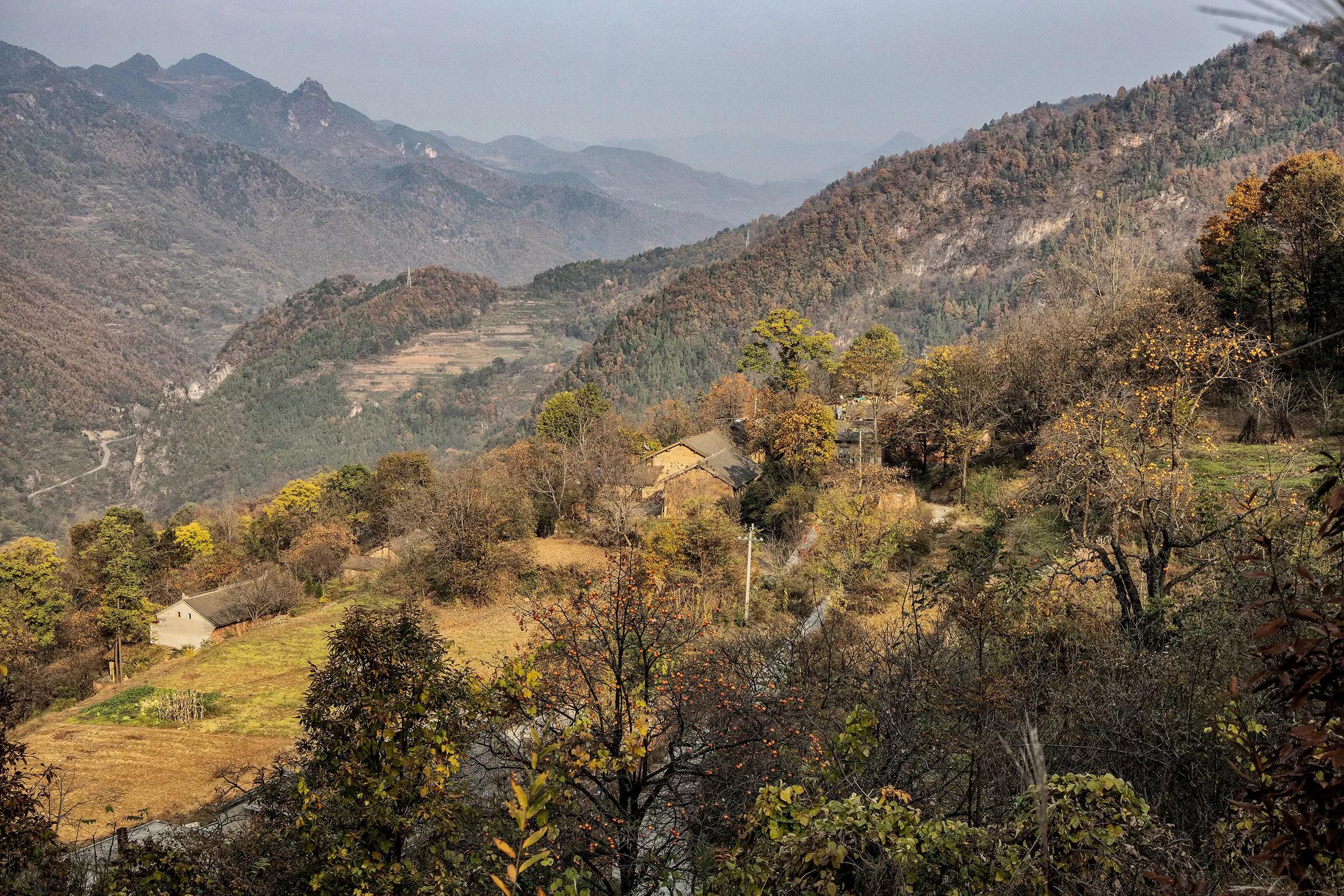 自由诗意：对《五排·晚秋感吟（平水韵/一东）》的注引解释