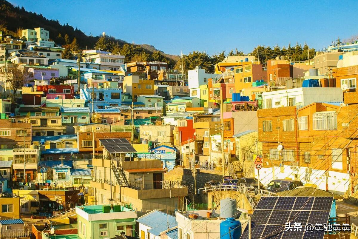 韩国出生率和结婚率,韩国出生率低为什么还不好找工作