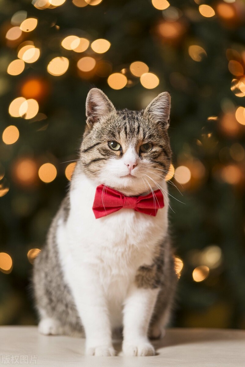 压力太大焦虑精神抑郁怎么办,孩子心里压抑焦虑抑郁怎么办