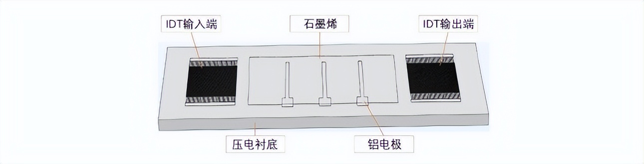 究竟是哪两种因素，影响石墨烯放大声表面波的放大性能？