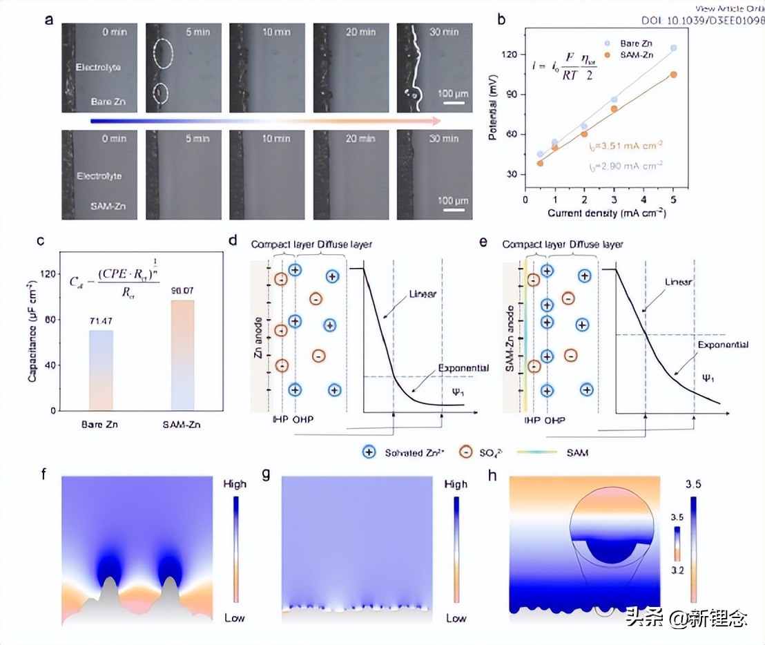 氨基酸自组装多层结构实现长寿命水系锌离子电池！