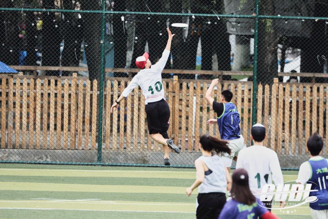 “黑红”的飞盘，商业化的前夜